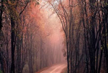 Ubisoft Stock: The Future Potential