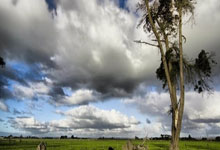 Pizza: Its Revolutionary Journey and What It Means for Our Future