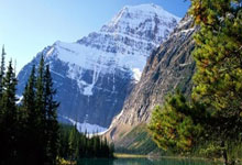 Bitcoin Whales Step In: The Market Implications - Crypto Twitter Reacts